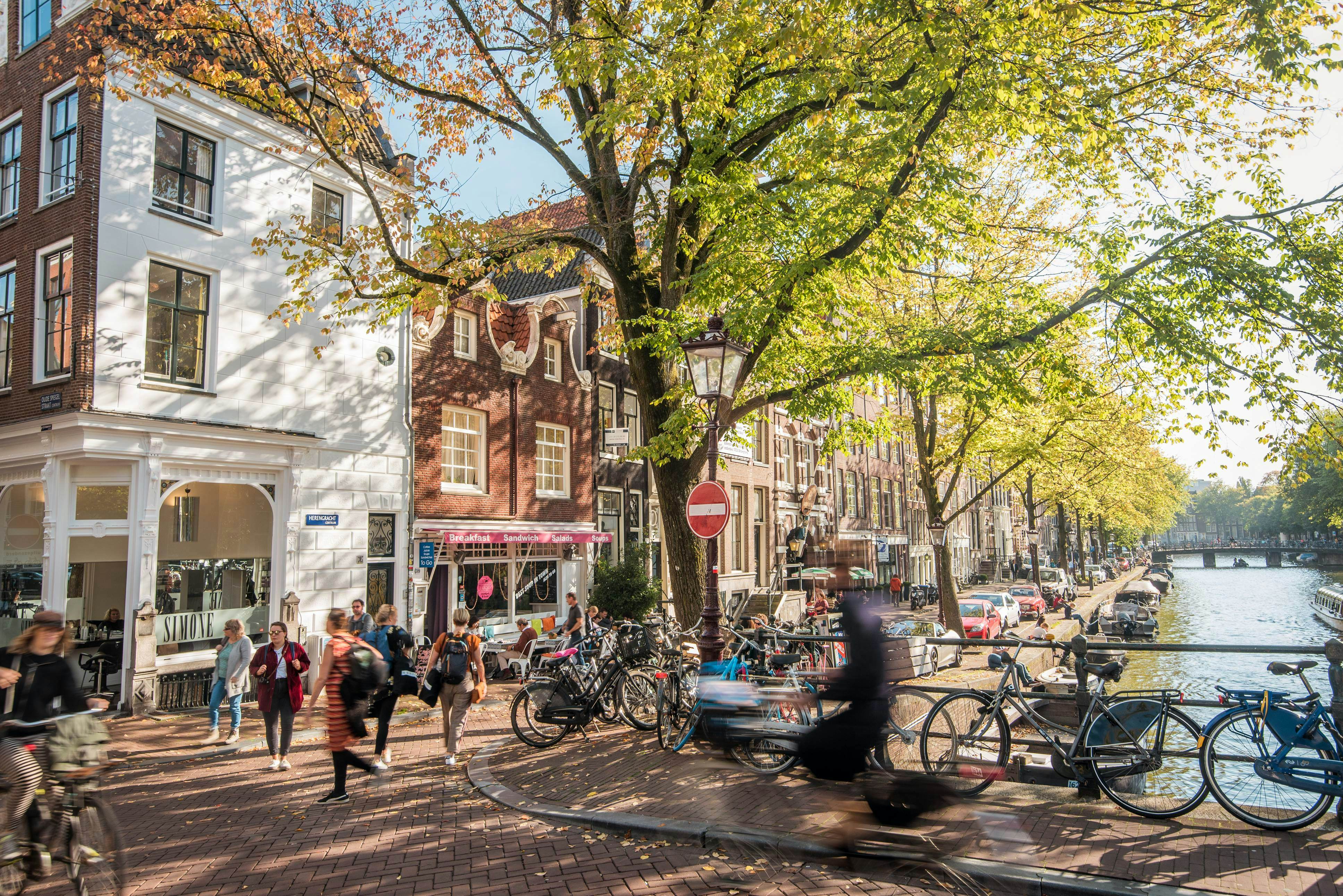 The Netherlands Country Guide - Lonely Planet | Europe